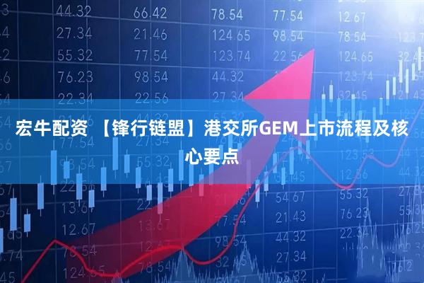 宏牛配资 【锋行链盟】港交所GEM上市流程及核心要点